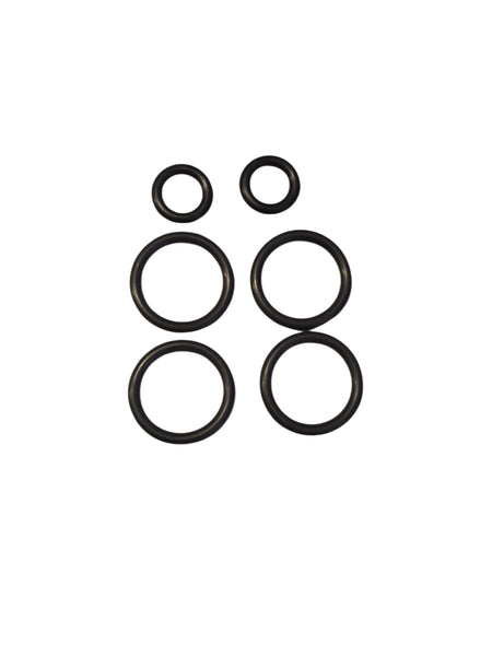Professor Foam Side Seal High Chemical Resist o-ring kit compatible for 246347